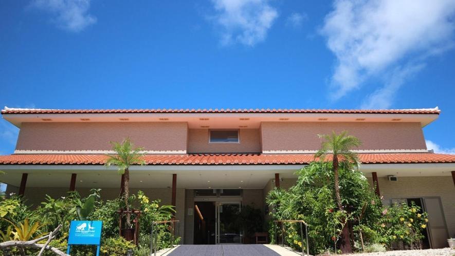 Little Mermaid Hotel Ishigakijima Ishigaki  Zewnętrze zdjęcie
