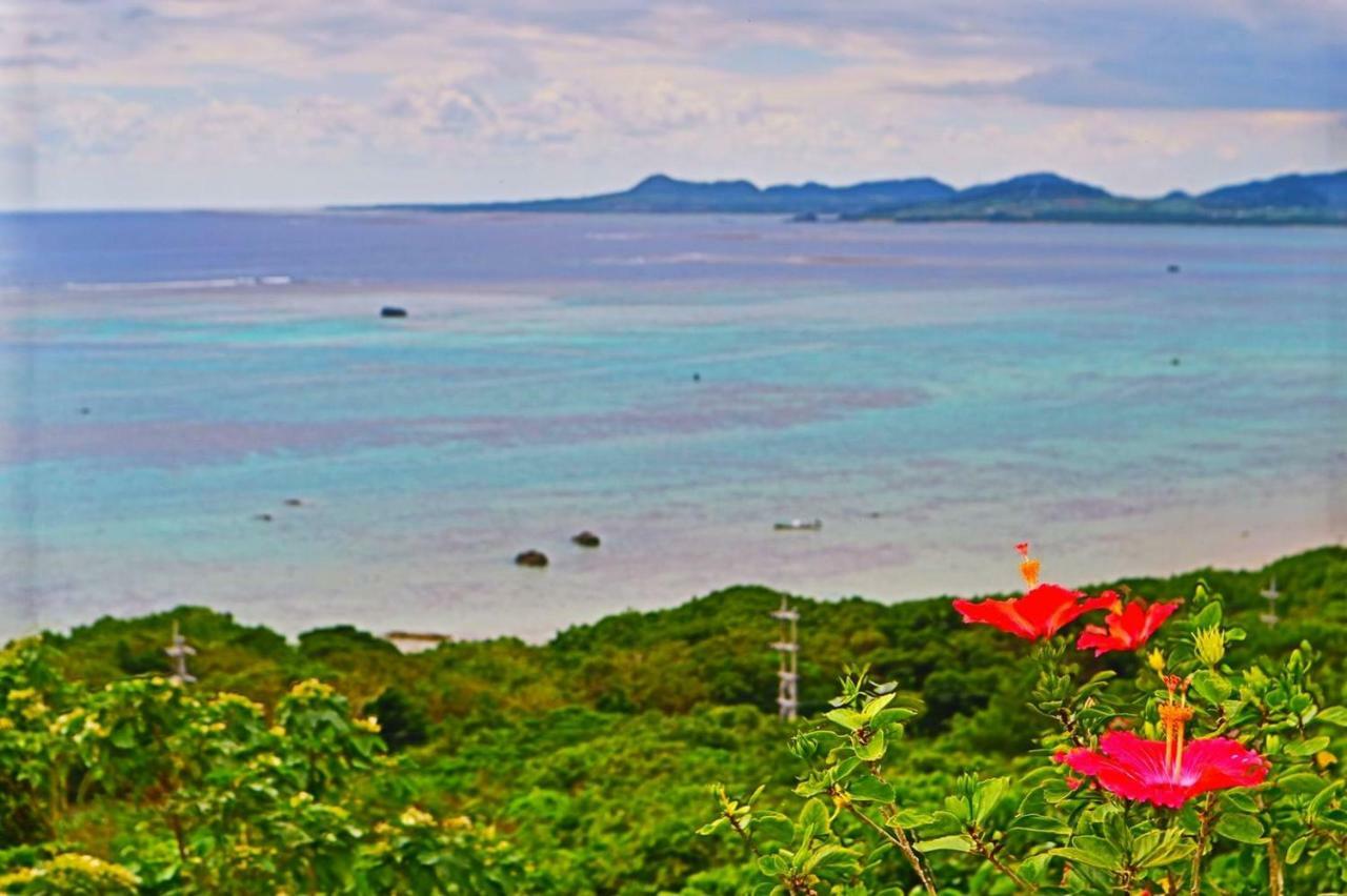 Little Mermaid Hotel Ishigakijima Ishigaki  Zewnętrze zdjęcie
