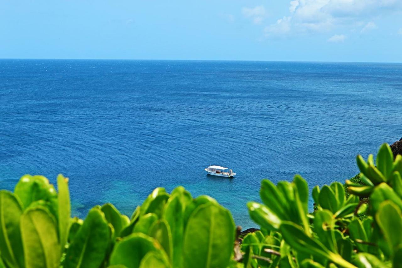 Little Mermaid Hotel Ishigakijima Ishigaki  Zewnętrze zdjęcie